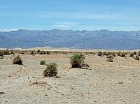 vallée de la mort  (158).JPG